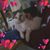 Keithkatherine Boleen's profile image