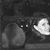 Wren McKenzie's profile image