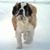 Lynn Watne's profile image