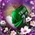 Terri Tweedie's profile image