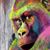 Roe Zore's profile image