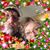 Rick Davis's profile image