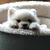 Patricia Scarth's profile image