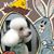 Patty Lay's profile image