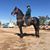 Edwardo Munoz's profile image