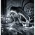 Jennifer Murphy's profile image
