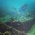 Carina Remmel's profile image