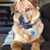 Kemper Morris's profile image