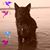 Richard Waller's profile image