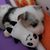 Dawn Langley's profile image
