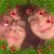 Diane Courteau's profile image