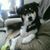Dean Fountaine's profile image