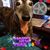 Cathy Gianformaggio Harrell's profile image