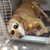 Wendy Thompson Wilker's profile image