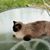 Tammy Mattke's profile image