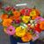 Barbara Chapman Lockyer's profile image