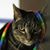 Tori Colvin's profile image