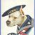 Suz Thomas's profile image