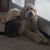 Melissa K. Weber's profile image