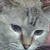Tracey Dawn's profile image