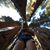 Hallie Hamby's profile image