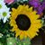 Laura B Pavlak's profile image