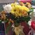 Eppie N Mary Gracia's profile image