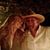 Gary L. McElmurry's profile image
