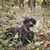 Darlene Allen Papenbrock's profile image