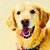 Cheryl Kendig's profile image