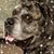 Mindy James's profile image
