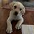 Jackie Hawley's profile image