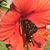 Raymond E. Dogan's profile image