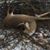Gary Lee Turner's profile image