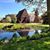 Linda Meese McMann's profile image
