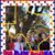 Catherine Kuntz's profile image