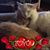 Laura Leigh Palmer-Cobb's profile image