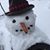 Phyllis Folkman's profile image