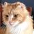 Judy Taylor's profile image