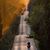 Karen S Phillips's profile image