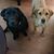 Diane Somerville Jackson's profile image