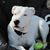 Debi Hannewald's profile image