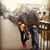 Catherine Kelm's profile image