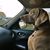 Dorene Stout-Boyd's profile image