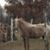 Brenda Strate Erwin's profile image