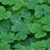 Deborah Loren Jones Powell's profile image