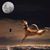 Michelle Duran's profile image