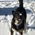 Lisa Griffith Keehn's profile image