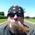Terry Merrill's profile image