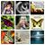 Jackie Savage's profile image